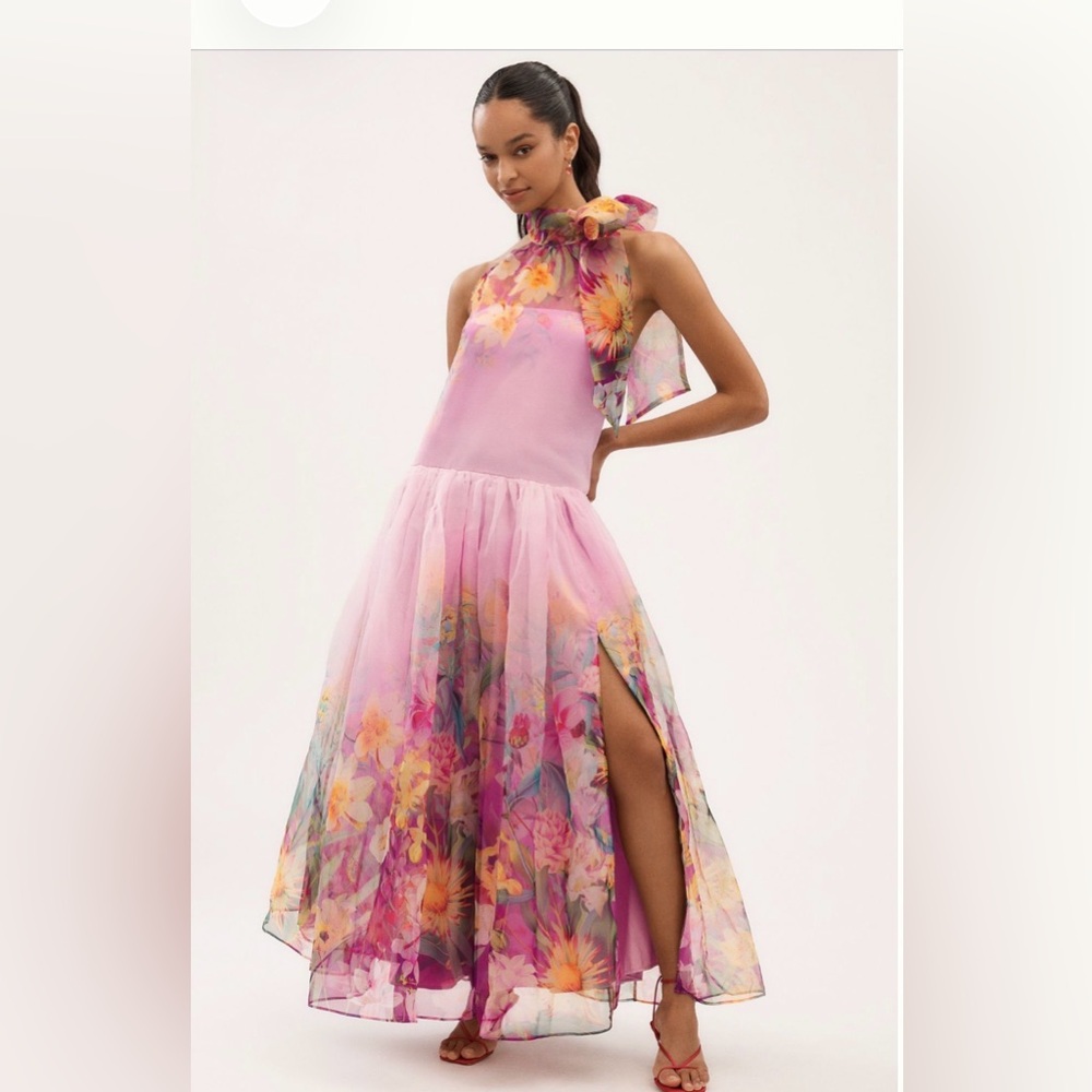 NWT BHLDN Kendal high neck scarf, floral organza maxi dress XXS